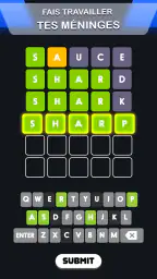 Wordle ! screenshot