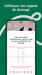 Zigzag - Éducation chien screenshot