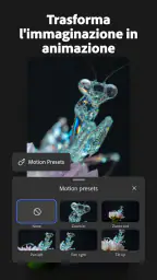 Adobe Firefly: generatore IA screenshot