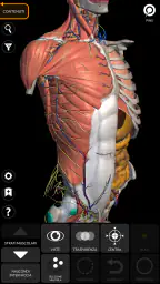 Anatomia - Atlante 3D screenshot