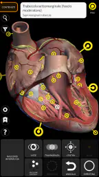 Anatomia - Atlante 3D screenshot