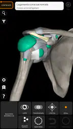 Anatomia - Atlante 3D screenshot