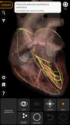 Anatomia - Atlante 3D screenshot