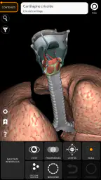 Anatomia - Atlante 3D screenshot