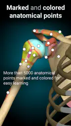 Anatomy Learning - Anatomia 3D screenshot