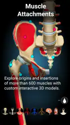 Anatomy Learning - Anatomia 3D screenshot