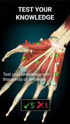 Anatomy Learning - Anatomia 3D screenshot