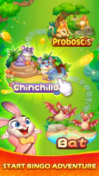 Bingo Wild - Bingo Classico screenshot