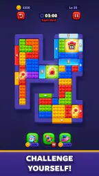 Block Out! - Color Sort Puzzle screenshot