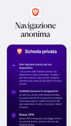 Brave Browser Web VPN Privato screenshot