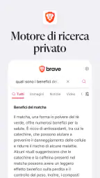 Brave Browser Web VPN Privato screenshot