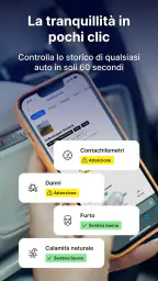 carVertical: controllo VIN screenshot