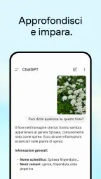 ChatGPT screenshot