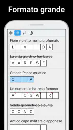Cruciverba classici screenshot