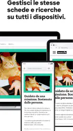 Firefox browser riservato screenshot