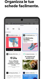 Firefox browser riservato screenshot