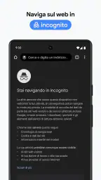Google Chrome screenshot
