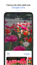 Google Foto screenshot