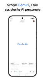 Google Gemini screenshot