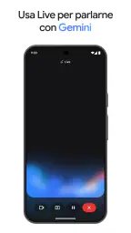 Google Gemini screenshot
