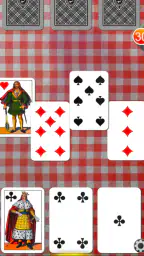iScopa screenshot