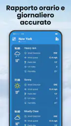Local Weather screenshot