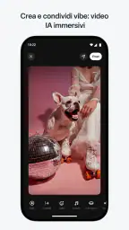 Meta AI screenshot