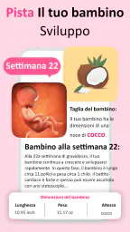 Mia Gravidanza per Settimana screenshot