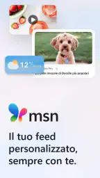 MSN screenshot
