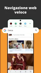 Browser video screenshot