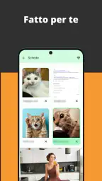 Browser video screenshot