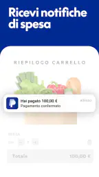 PayPal screenshot