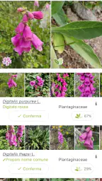 PlantNet Plant Identification screenshot