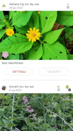 PlantNet Plant Identification screenshot