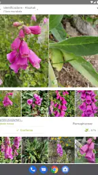 PlantNet Plant Identification screenshot