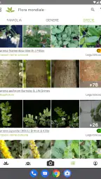 PlantNet Plant Identification screenshot