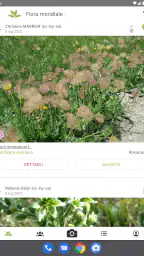 PlantNet Plant Identification screenshot