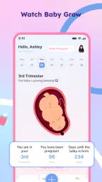 Pregnancy Journal: Track Baby screenshot