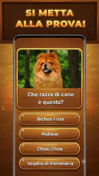 Quiz di Legno: Trivia Blocks screenshot