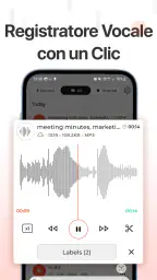 Registratore Vocale&Audio Pro screenshot