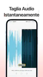 Registratore Vocale&Audio Pro screenshot