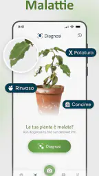 Riconoscimento Piante Italiano screenshot