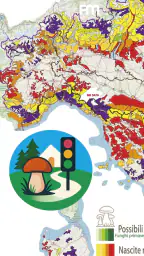 Semaforo dei Funghi screenshot