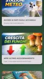 Semaforo dei Funghi screenshot