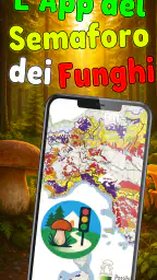 Semaforo dei Funghi screenshot