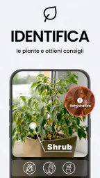 TapScanner - Scanner crea PDF screenshot