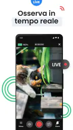 Videocamera sicurezza: Visory screenshot