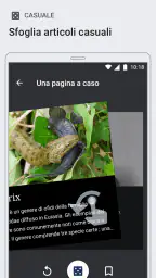 Wikipedia screenshot