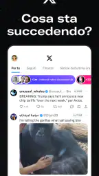 X (Precedentemente Twitter) screenshot