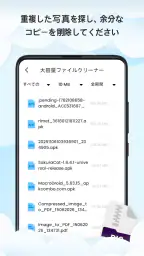 AdoClean screenshot